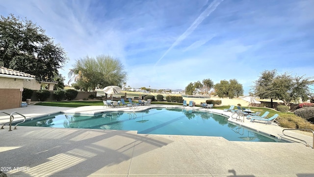 view of pool featuring a patio area