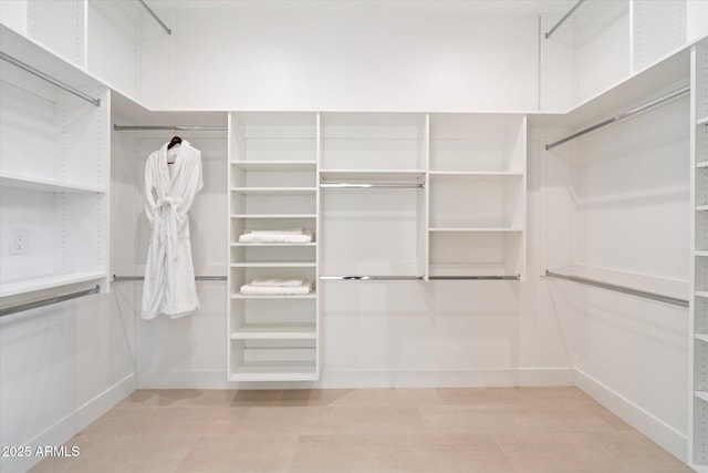 view of spacious closet