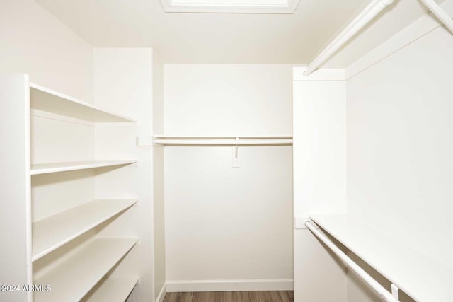 spacious closet featuring wood-type flooring