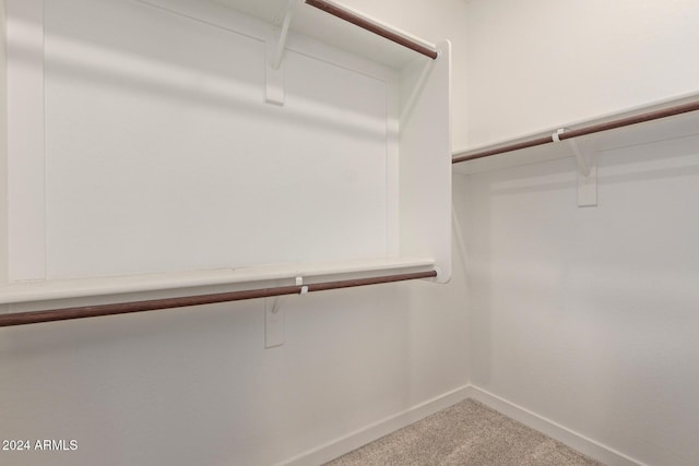 spacious closet with carpet floors