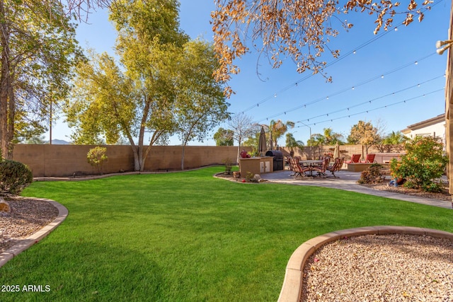 view of yard with a patio