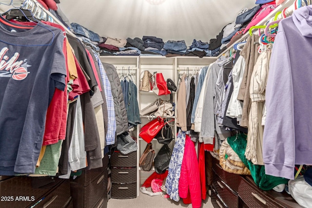 6802 S 47th St, Phoenix, AZ 85042 - view of spacious closet