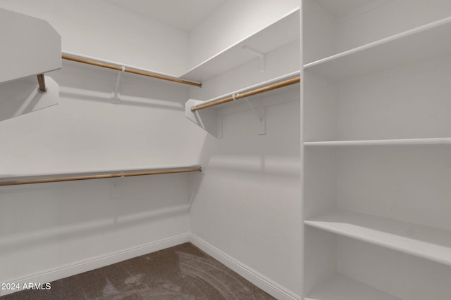 walk in closet featuring carpet flooring