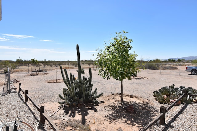 view of yard with a rural view