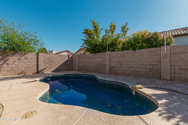 view of pool with a patio