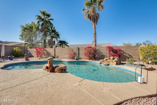 view of pool with a patio