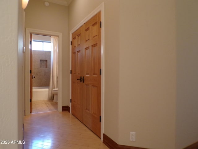 hallway featuring light hardwood / wood-style floors