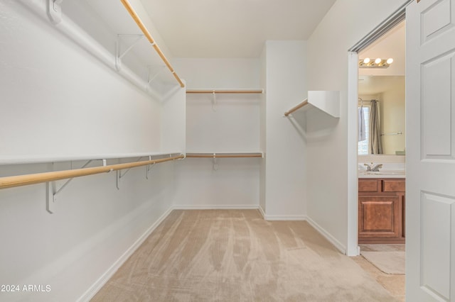 walk in closet with sink and light colored carpet