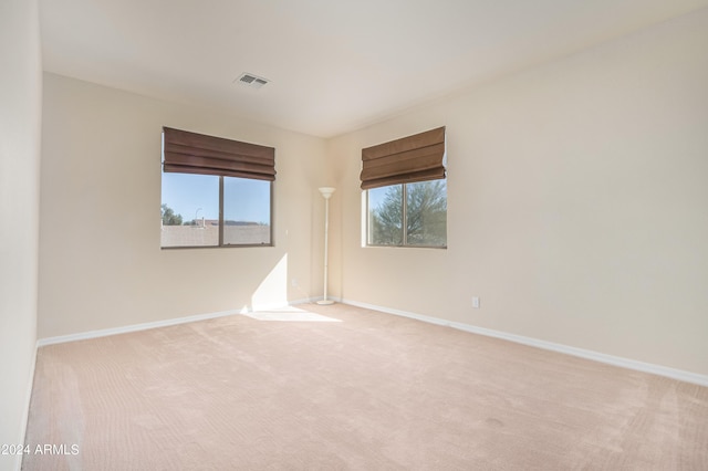 spare room with a healthy amount of sunlight and light colored carpet