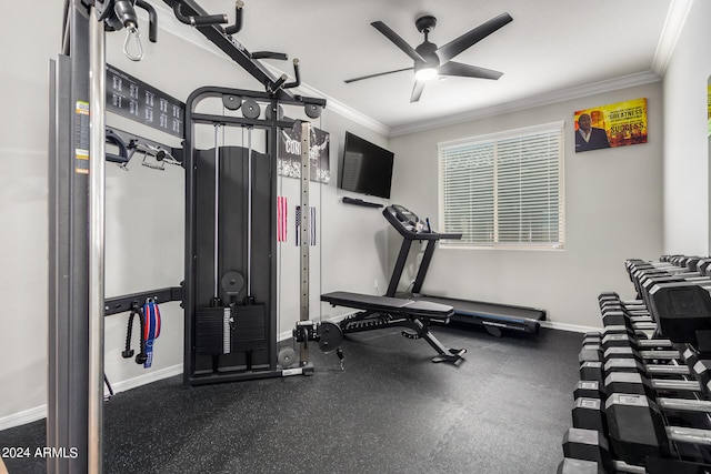 exercise area featuring crown molding and ceiling fan