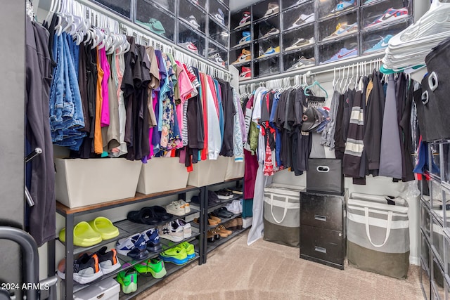 spacious closet featuring carpet floors