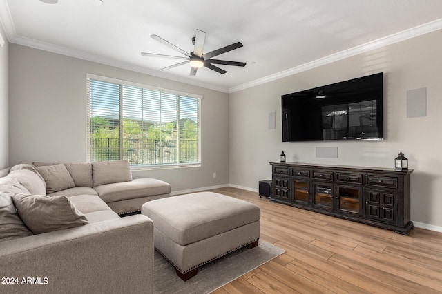 living room featuring crown molding, ceiling fan, and light wood-type flooring