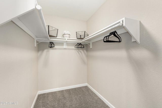 5649 W Holly St, Phoenix, AZ 85035 - walk in closet with carpet flooring