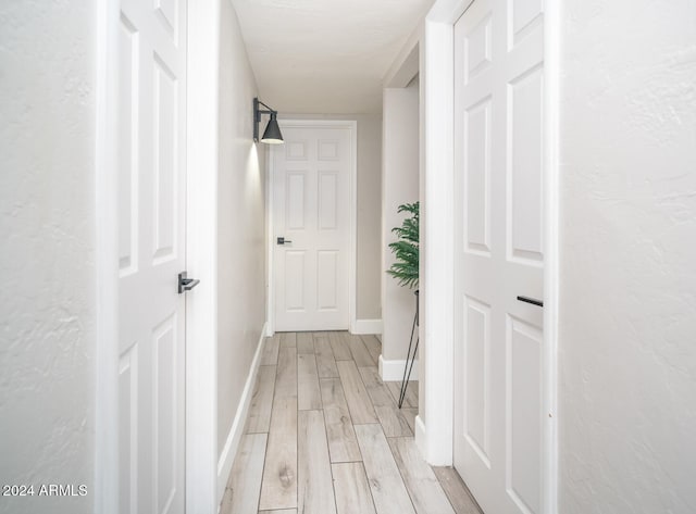 hall featuring light hardwood / wood-style floors