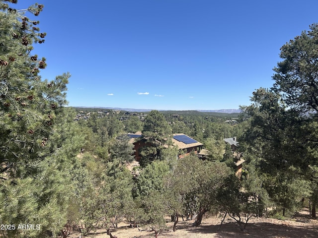 517 N Grapevine Dr Unit 440, Payson, AZ 85541