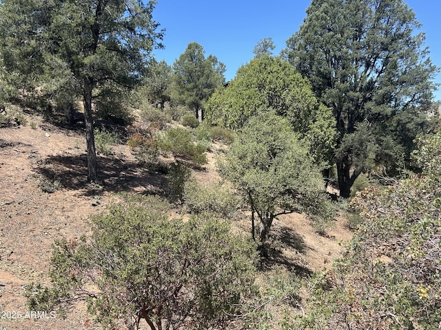 517 N Grapevine Dr Unit 440, Payson, AZ 85541