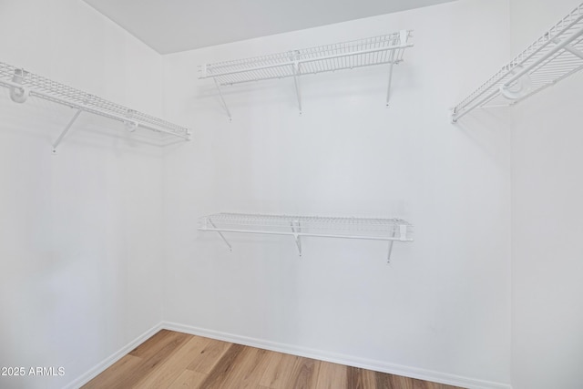 spacious closet featuring light wood-style flooring