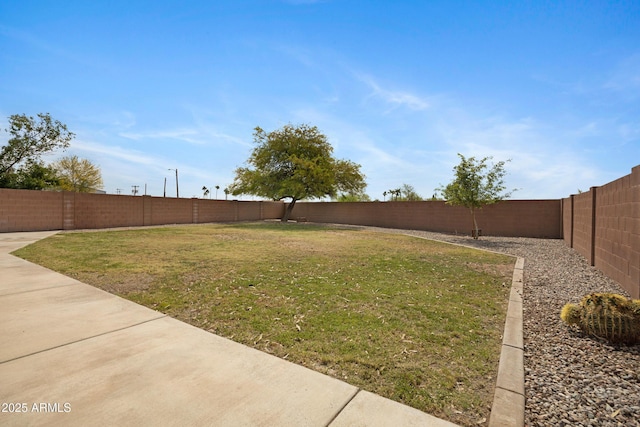 view of yard with a fenced backyard and a patio area