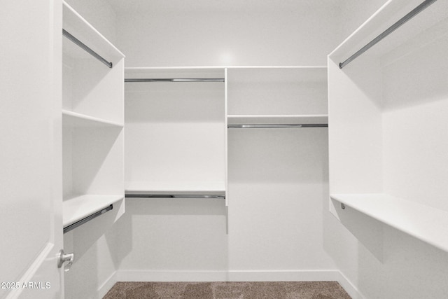 1336 E Belmont Ave, Phoenix, AZ 85020 - spacious closet with carpet flooring