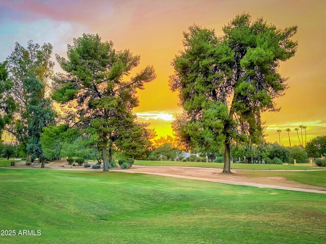 7155 E Oakmont Dr, Paradise Valley, AZ 85253 - view of property's community featuring a lawn