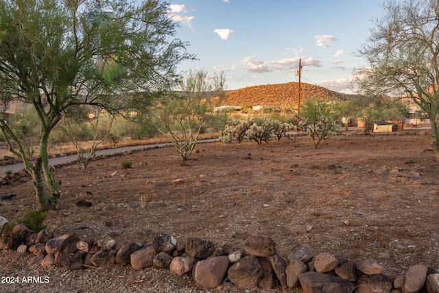 view of yard featuring a mountain view