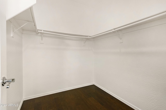 spacious closet with wood-type flooring