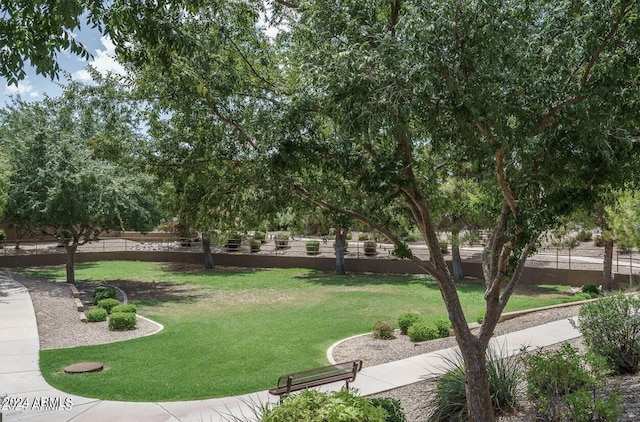 view of community with a yard