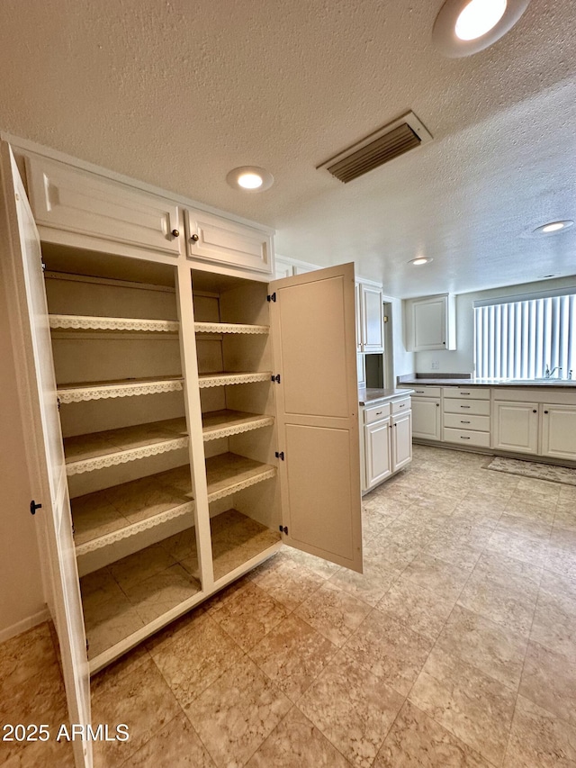 pantry featuring sink