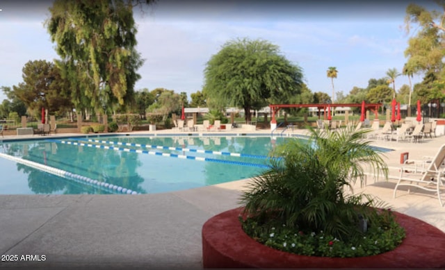 view of swimming pool with a patio area