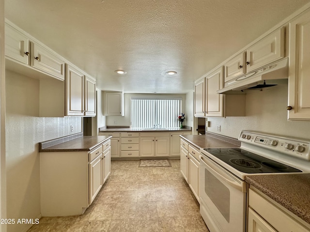 kitchen featuring sink, electric range, and a textured ceiling