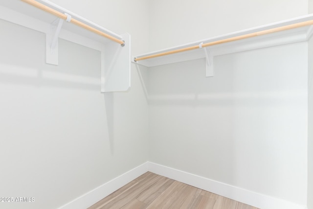 spacious closet featuring light wood-type flooring