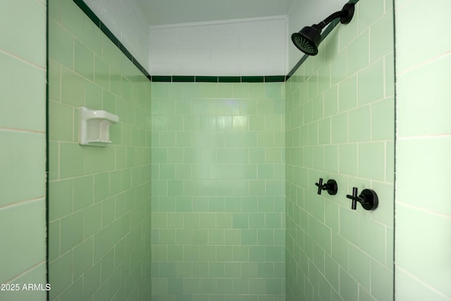 bathroom with a tile shower