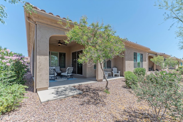 16417 W Piccadilly Rd, Goodyear, AZ 85395 - rear view of property with a ceiling fan, stucco siding, and a patio