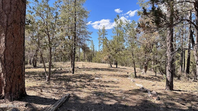 LOT44 S Diamond Pt Unit 44, Payson AZ, 85541 land for sale