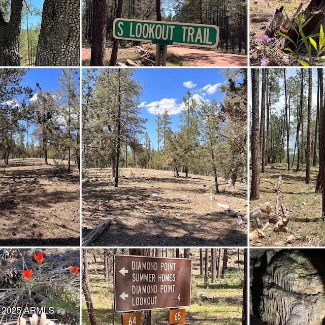 Listing photo 2 for LOT44 S Diamond Pt Unit 44, Payson AZ 85541