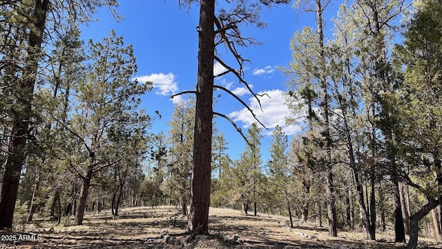 Listing photo 3 for LOT44 S Diamond Pt Unit 44, Payson AZ 85541