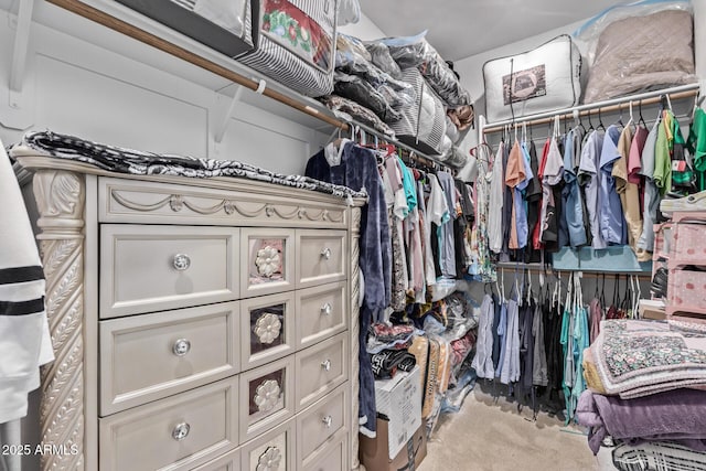 spacious closet featuring light colored carpet