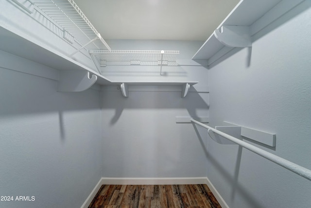 spacious closet featuring dark wood-type flooring