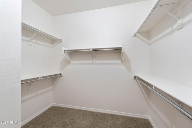 walk in closet featuring carpet flooring