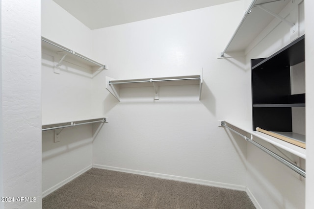 walk in closet featuring carpet