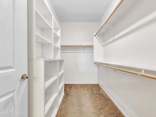 spacious closet featuring light colored carpet