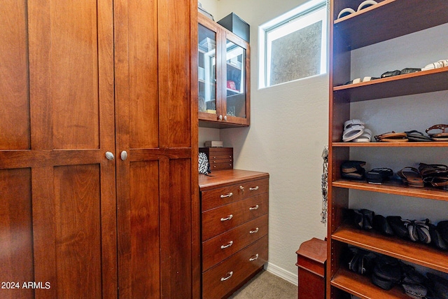 walk in closet with carpet