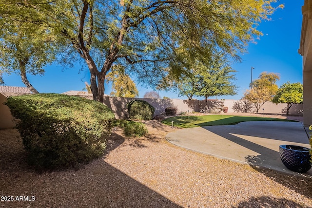 view of yard featuring a patio