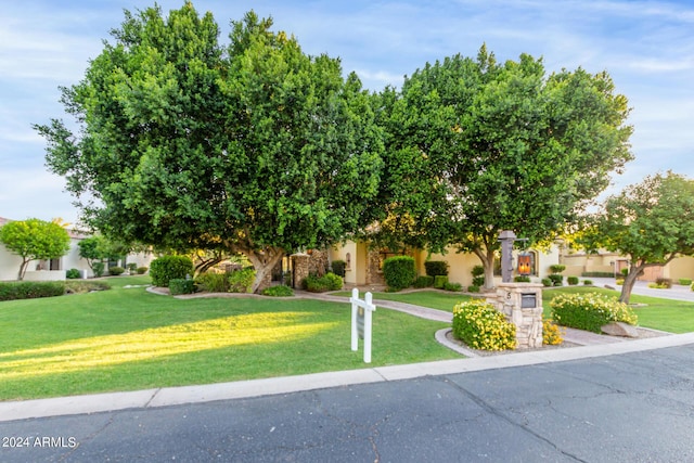 view of property hidden behind natural elements with a front yard