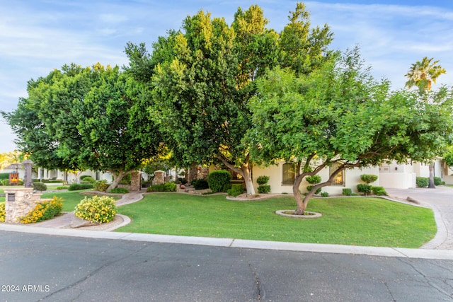 obstructed view of property featuring a front lawn