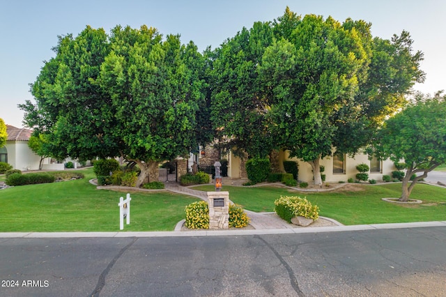 view of property hidden behind natural elements with a front lawn