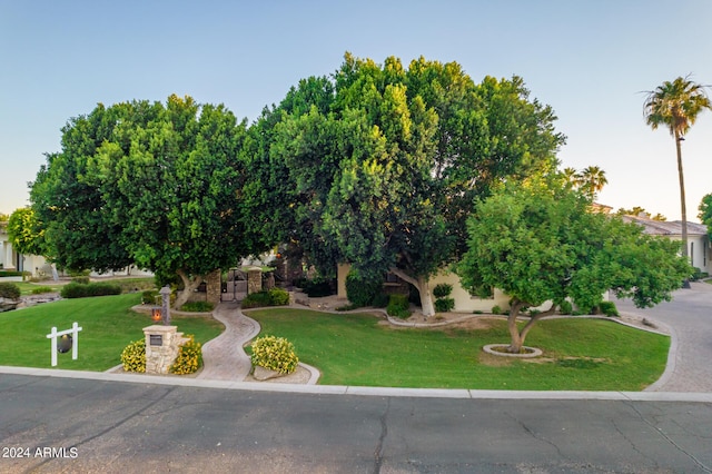 view of property hidden behind natural elements featuring a front yard