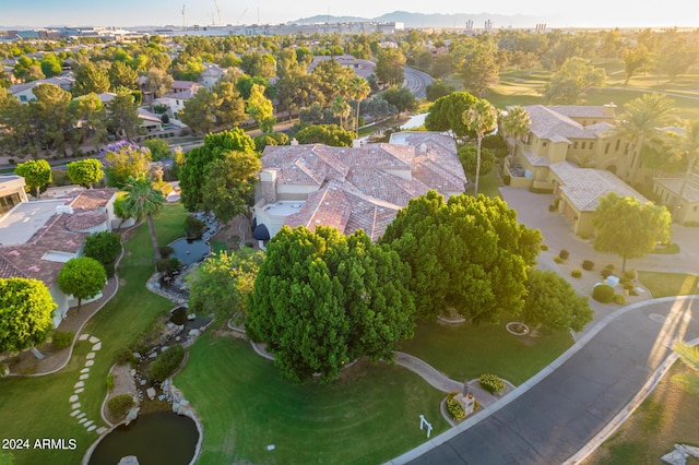 bird's eye view