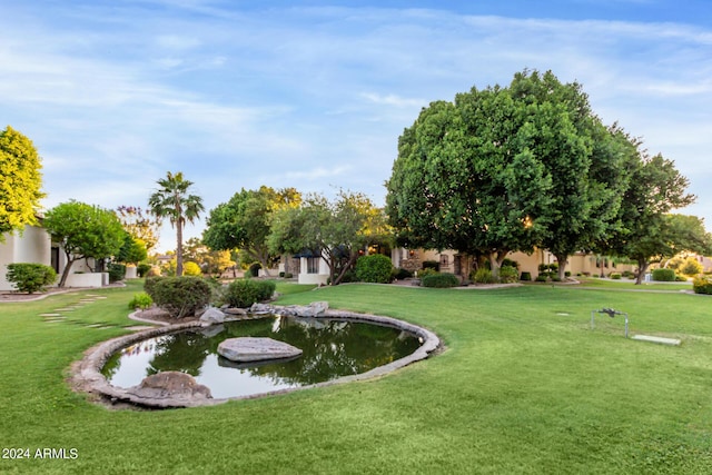 view of home's community featuring a yard