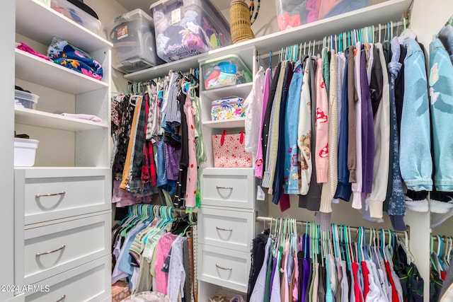 view of spacious closet